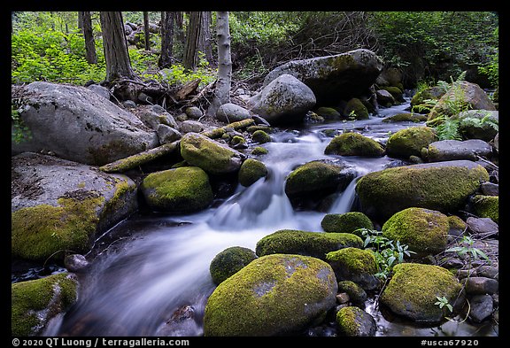 Middle Fork Tule River cascading over boulders. Giant Sequoia National Monument, Sequoia National Forest, California, USA (color)