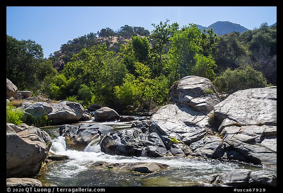 Tule River at Lower Coffee Camp. Giant Sequoia National Monument, Sequoia National Forest, California, USA