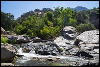 Tule River at Lower Coffee Camp. Giant Sequoia National Monument, Sequoia National Forest, California, USA ( color)