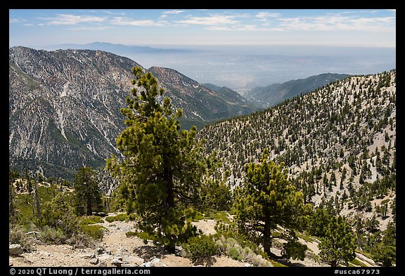 Looking down Baldy Bowl. San Gabriel Mountains National Monument, California, USA (color)