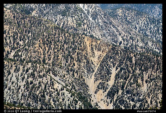 Slopes below Ontario Peak. San Gabriel Mountains National Monument, California, USA (color)