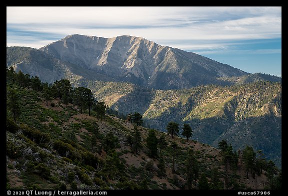 Mt Baldy from Blue Ridge. San Gabriel Mountains National Monument, California, USA (color)