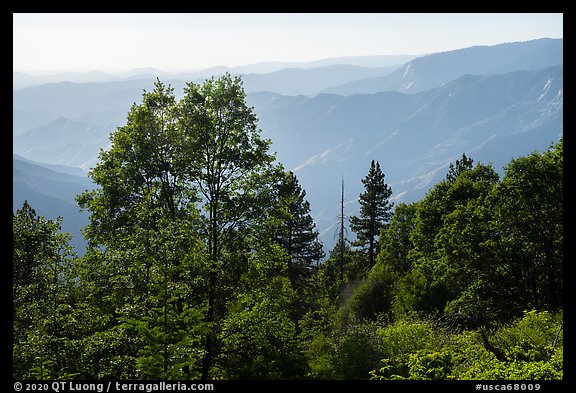 Hazy ridges from Converse Basin. Giant Sequoia National Monument, Sequoia National Forest, California, USA