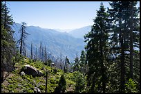 View over Kings Canyon from Converse Basin. Giant Sequoia National Monument, Sequoia National Forest, California, USA ( color)