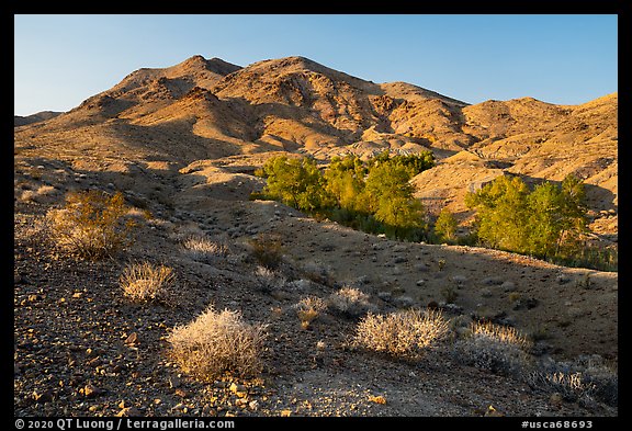 Bonanza Springs and Clipper Mountains. Mojave Trails National Monument, California, USA (color)