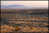 Fenner Valley at sunset. Mojave Trails National Monument, California, USA ( color)