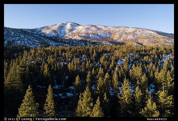 Aerial view of pine forest and Grinnel Mountain in winter. Sand to Snow National Monument, California, USA