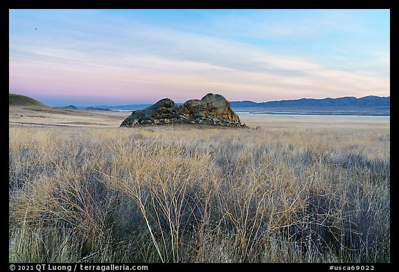 Grasses and Painted Rock at dawn. Carrizo Plain National Monument, California, USA