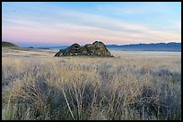 Grasses and Painted Rock at dawn. Carrizo Plain National Monument, California, USA ( color)