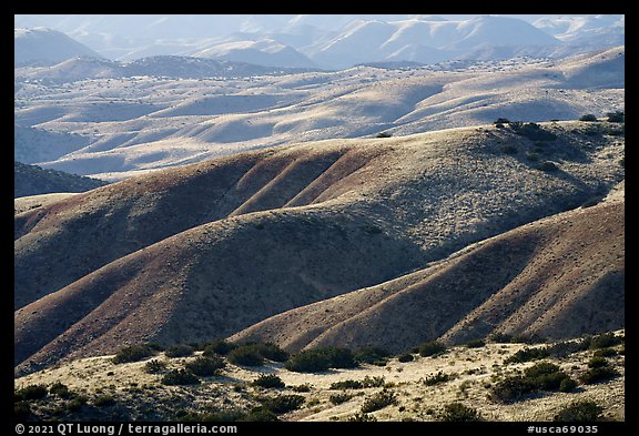 Foothills, Caliente Range. Carrizo Plain National Monument, California, USA (color)