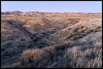 Wallace Creek and Temblor Range. Carrizo Plain National Monument, California, USA ( color)