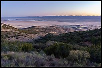 Carrizo Plain from Caliente Range at dawn. Carrizo Plain National Monument, California, USA ( color)
