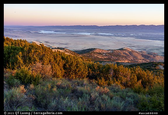 Shurbs and juniper on Caliente Ridge above plain. Carrizo Plain National Monument, California, USA (color)