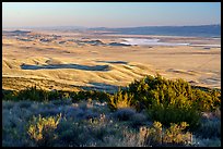 Carrizo Plain seen from Caliente Ridge. Carrizo Plain National Monument, California, USA ( color)