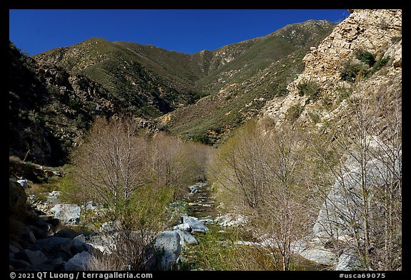 San Gabriel River flowing in canyon with newly leafed trees. San Gabriel Mountains National Monument, California, USA (color)