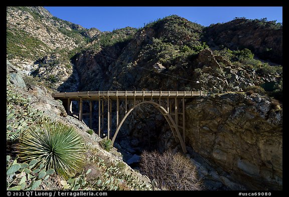 Yucca and Bridge to Nowhere. San Gabriel Mountains National Monument, California, USA (color)