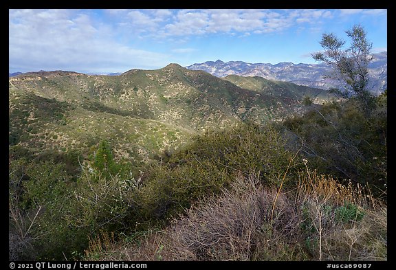 Shrubs, hills, and peak from Glendora Ridge. San Gabriel Mountains National Monument, California, USA (color)