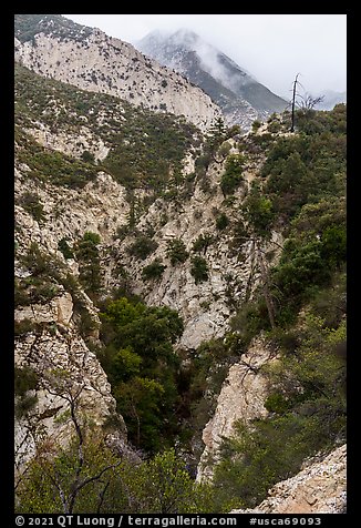 Bear Canyon. San Gabriel Mountains National Monument, California, USA (color)