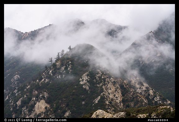 Peaks in fog above Bear Canyon. San Gabriel Mountains National Monument, California, USA (color)
