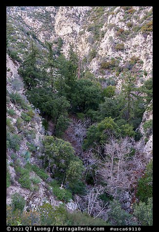 Bear Canyon from above. San Gabriel Mountains National Monument, California, USA (color)
