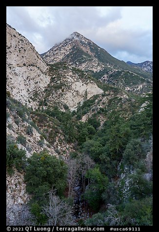 Peaks and Bear Canyon. San Gabriel Mountains National Monument, California, USA