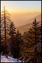 Sunset from San Gorgonio Mountain towards Valley of the Falls. Sand to Snow National Monument, California, USA ( color)