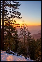 Winter sunset from San Gorgonio Mountain. Sand to Snow National Monument, California, USA ( color)