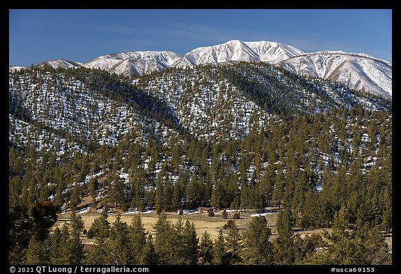 San Gorgonio Mountain rising above meadow and foothills in winter. Sand to Snow National Monument, California, USA (color)