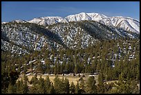 San Gorgonio Mountain rising above meadow and foothills in winter. Sand to Snow National Monument, California, USA ( color)