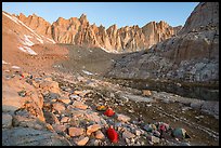 Tents and campers at Trail Camp, sunrise, Inyo National Forest. California ( color)