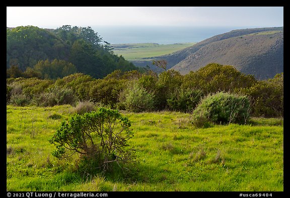 Coastal grasslands looking towards the Pacific Ocean. Cotoni-Coast Dairies Unit, California Coastal National Monument, California, USA (color)