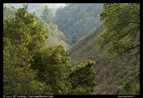 Steep ravine. Cotoni-Coast Dairies Unit, California Coastal National Monument, California, USA (color)