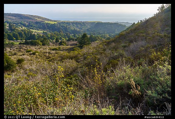 Mix of grasslands, scrublands, woodlands, and forests on hillside slopes. Cotoni-Coast Dairies Unit, California Coastal National Monument, California, USA (color)