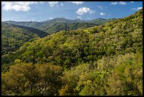 Hillsides in spring with Almaden Quicksilver Chimney, Almaden Quicksilver County Park. San Jose, California, USA ( color)