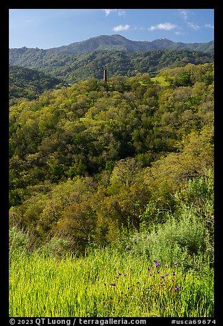Wildflowers, hills with live oaks, and Almaden Quicksilver Chimney, Almaden Quicksilver County Park. San Jose, California, USA (color)