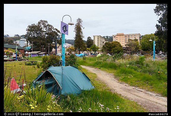 Tent, Peoples Park. Berkeley, California, USA