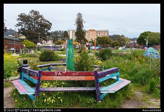 Bench, Peoples Park. Berkeley, California, USA