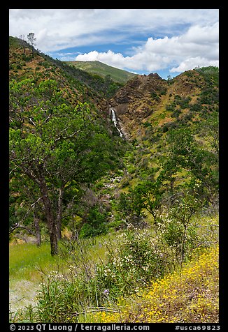 Zim Zim Fall and Zim Zim Creek in the spring. Berryessa Snow Mountain National Monument, California, USA (color)