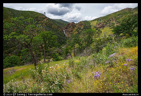 Wildflowers and Zim Zim waeterfall. Berryessa Snow Mountain National Monument, California, USA (color)