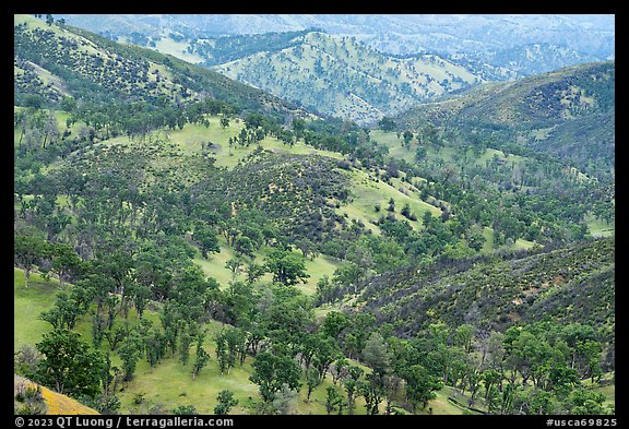Green hills surrounding Zim Zim Creek. Berryessa Snow Mountain National Monument, California, USA (color)