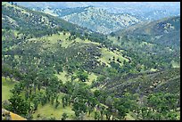 Green hills surrounding Zim Zim Creek. Berryessa Snow Mountain National Monument, California, USA ( color)