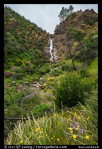 Wildflowers at the base of Zim Zim Fall. Berryessa Snow Mountain National Monument, California, USA (color)