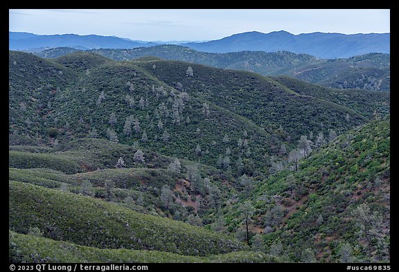 Shrub-covered hills from Condor Ridge. Berryessa Snow Mountain National Monument, California, USA