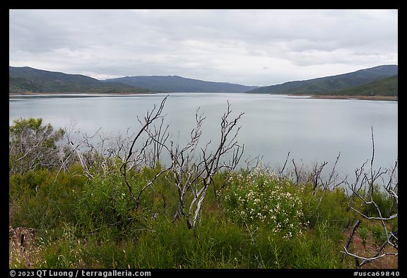 Shore of Indian Valley Resevoir in the spring. Berryessa Snow Mountain National Monument, California, USA (color)