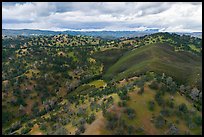Blue Ridge hills. Berryessa Snow Mountain National Monument, California, USA ( color)