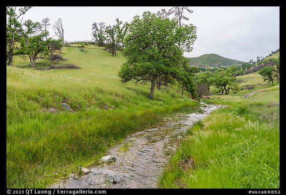 Zim Zim Creek in the spring. Berryessa Snow Mountain National Monument, California, USA (color)