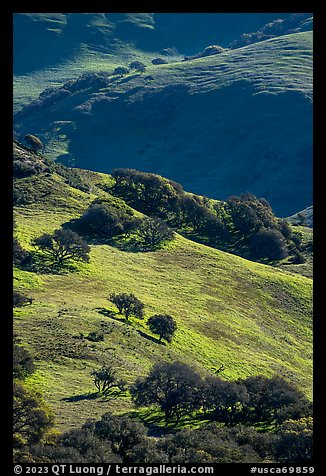 Hillsides in springtime. California, USA (color)