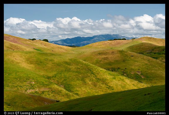 Rolling hills. California, USA