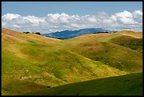 Rolling hills. California, USA ( color)