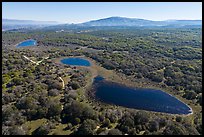 Aerial view of string of ponds. California, USA ( color)